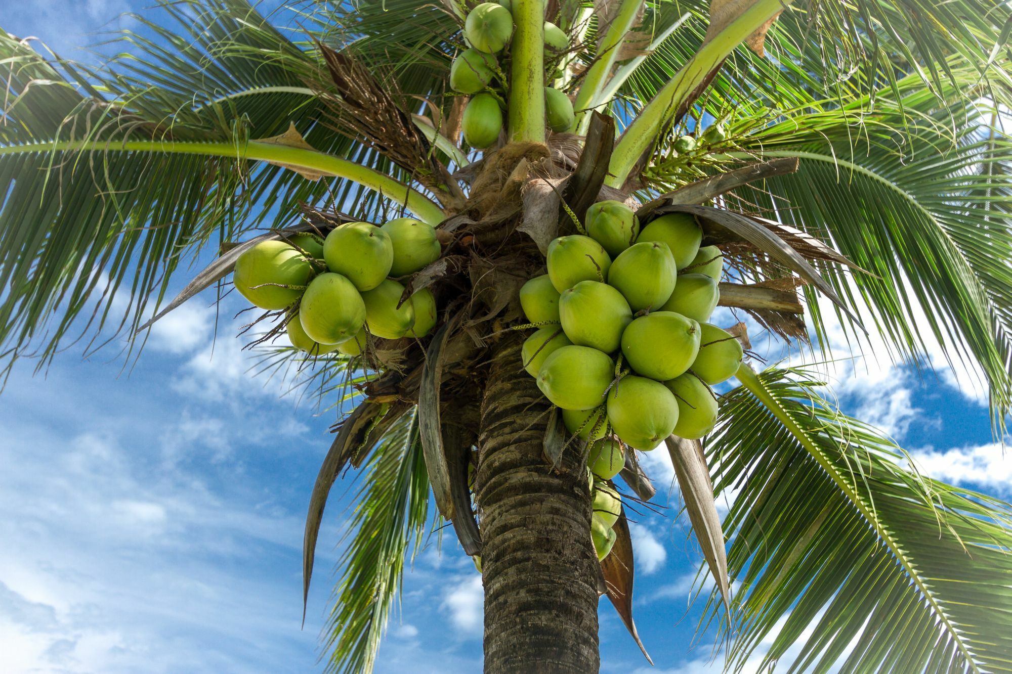 Willa Coastal Escape Koh Yao Noi Zewnętrze zdjęcie